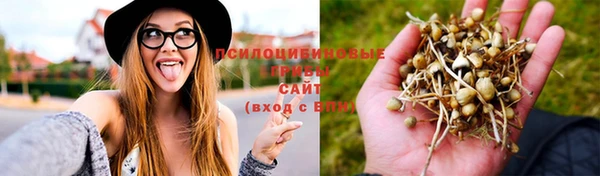 соль ск Медногорск