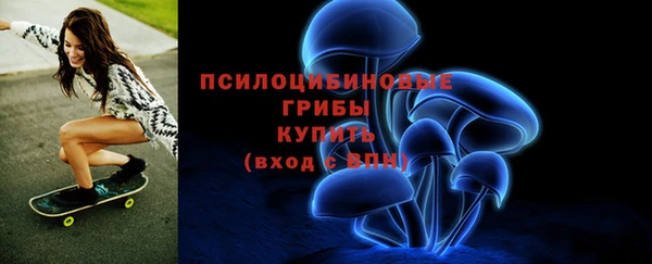 соль ск Медногорск