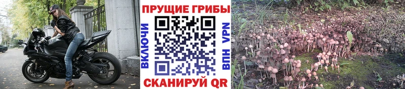 Галлюциногенные грибы прущие грибы  Купить  Нариманов 